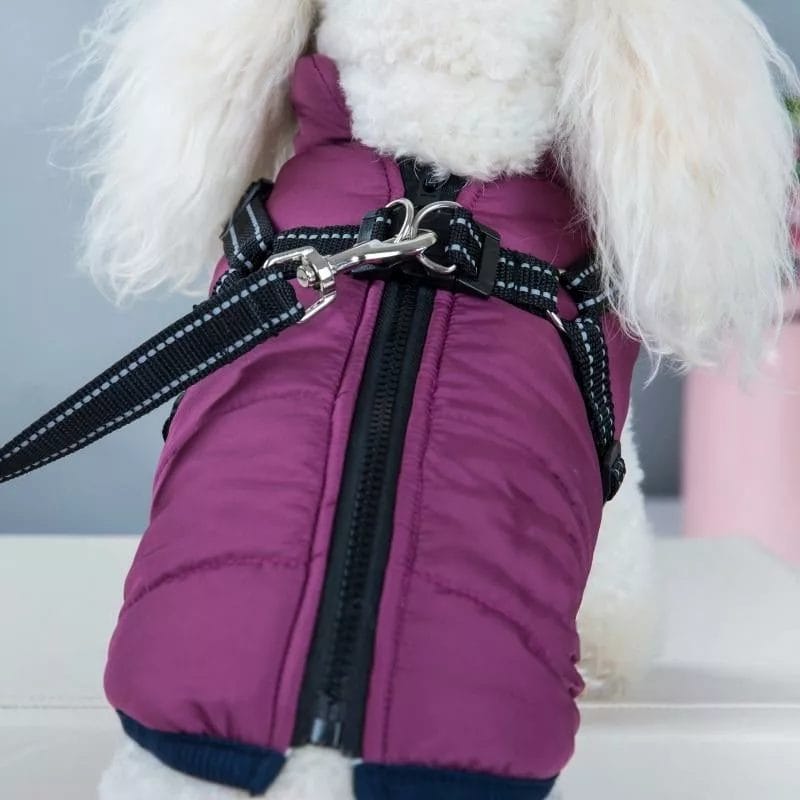 ( Black Friday Sale-40%OFF ) Pawbibi Sport™ - Waterproof Winter Jacket with Built-in Harness